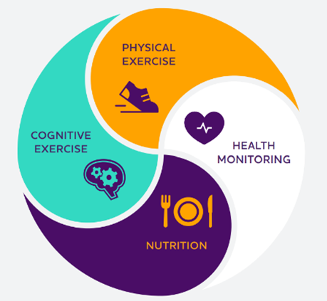 Midlife Is an Important Window for Long-Term Brain Health 