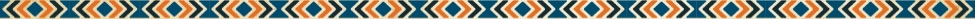 Newsletter Content Section Ribbon